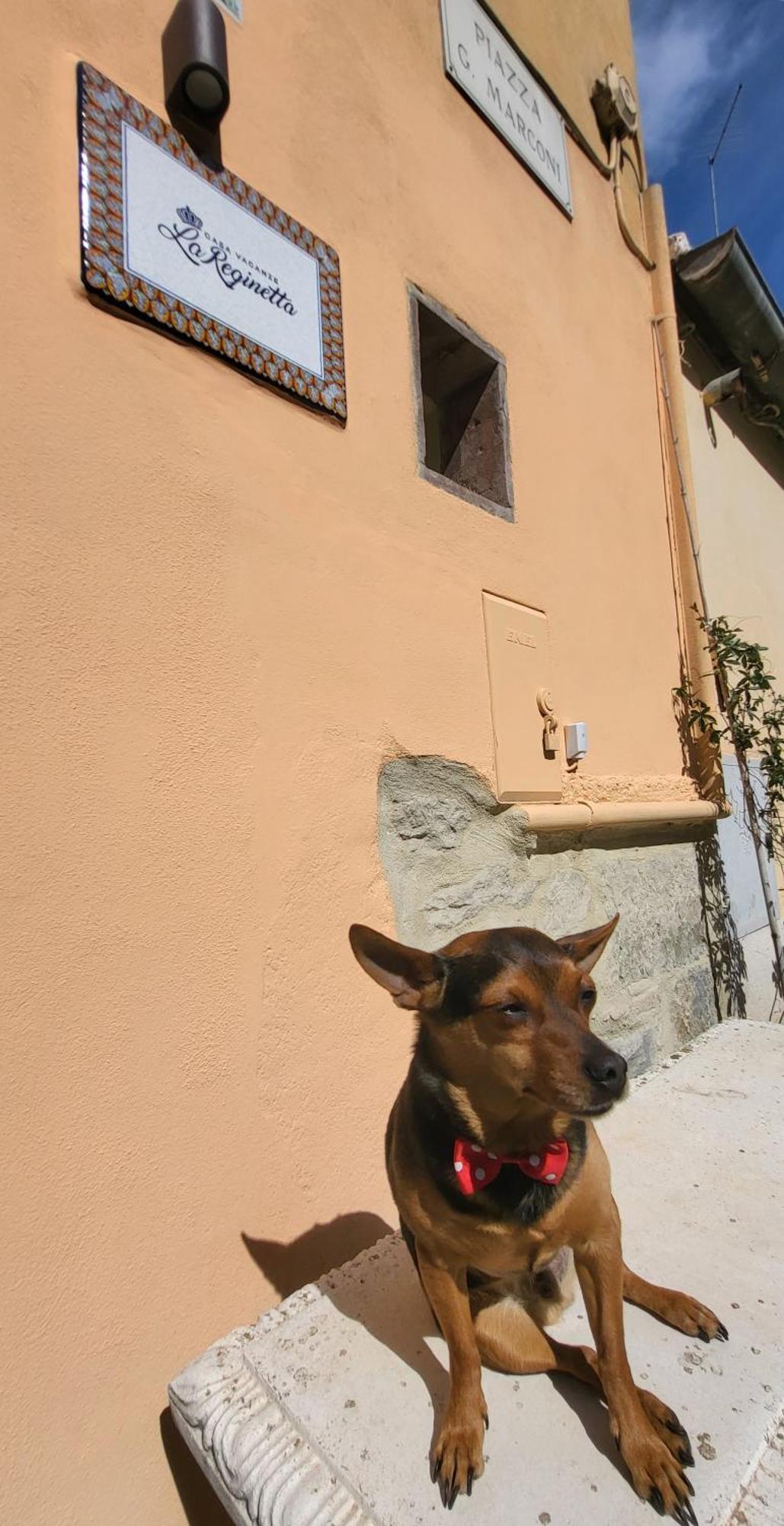 La Reginetta Holiday Home Tuoro sul Trasimeno Dış mekan fotoğraf